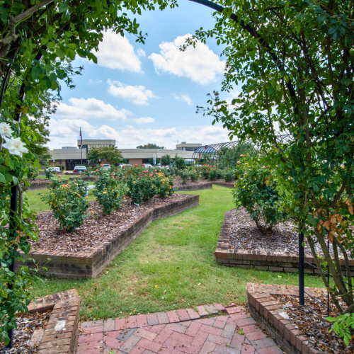 Archway with flowers growing overhead