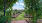 Archway with flowers growing overhead