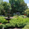 Wilson Botanical Gardens fountain